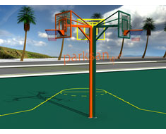 673 - Basketbol Potas ( Ynl Cam Panya)